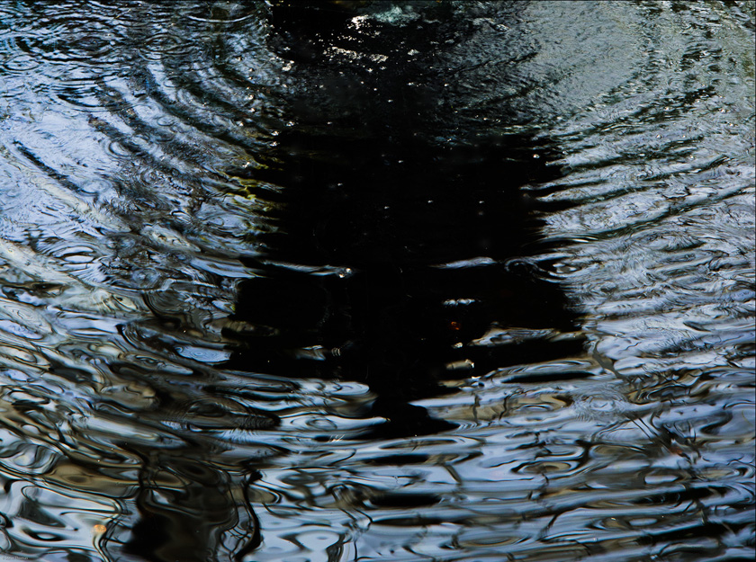 29-SteveThomas-B-Reflection-in-water