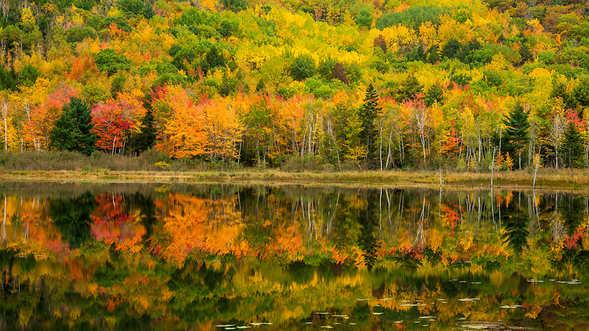 72-RickThompson-B-Acadian-Reflection