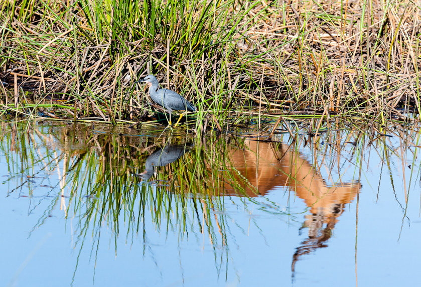 75-C-Dennis-Landis-B-Okavango