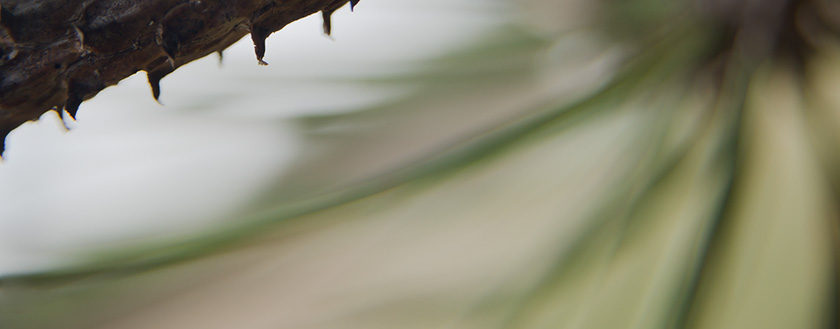 03-Stevethomas-B-abstract1