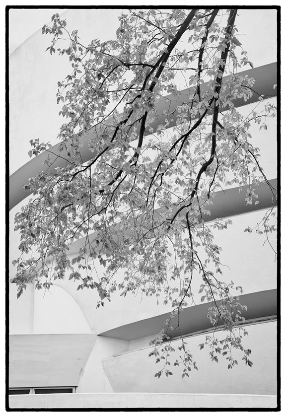 06-C-p-davis-A-Guggenheim-branch