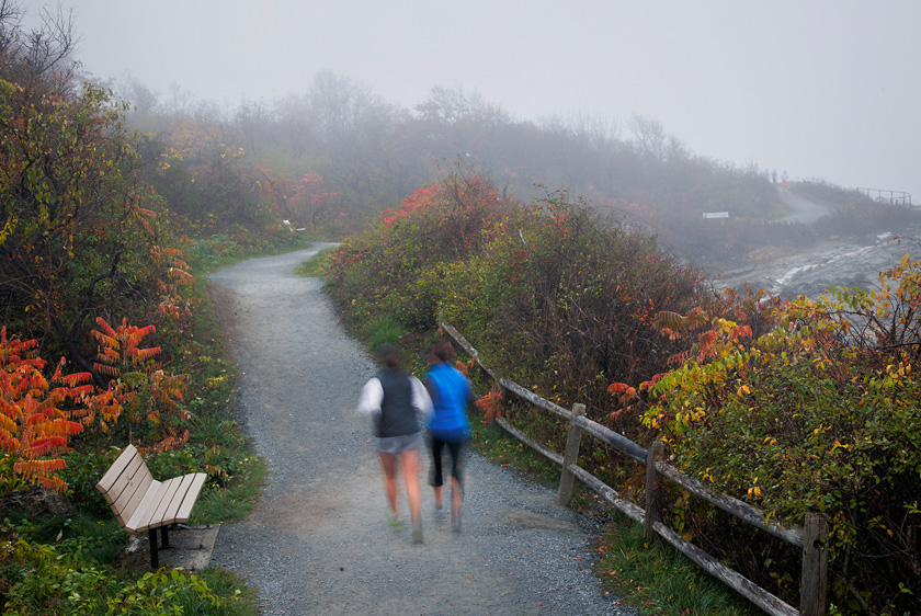 alan-borror-a-jog-in-the-fog