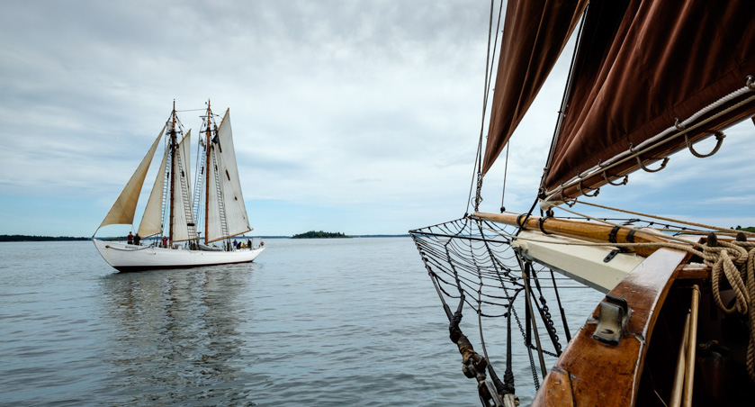 02-lindaalschuler-b-sailing-beauties
