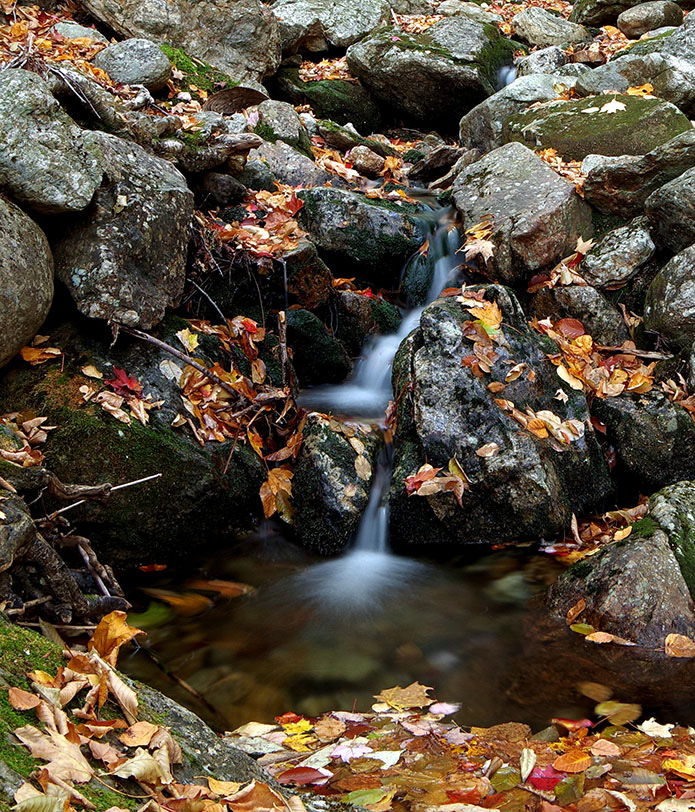 07-olgamerrill-b-stones-and-water