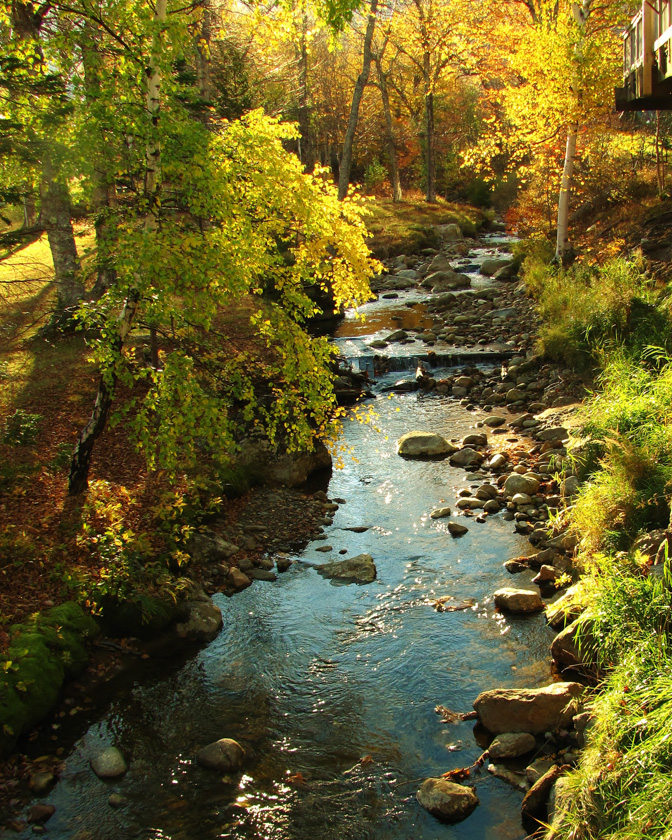 16-judith-macdonald-b-autumn-brook