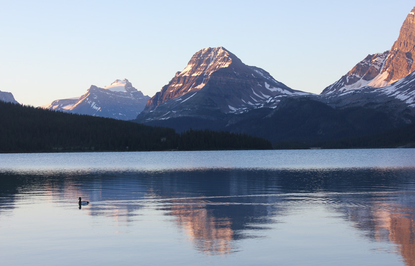 86-dave-kirkwood-a-mountain-sunrise-with-loon
