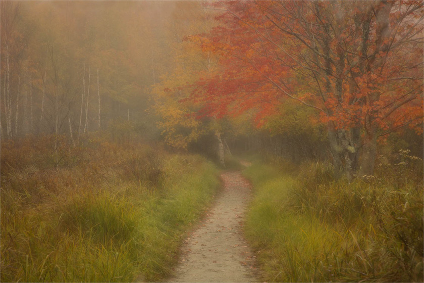 90-linda_cullivan_a_autumn_dream