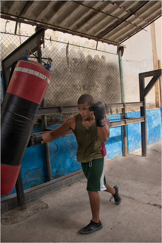 94-pam-davis-a-boxer-in-training