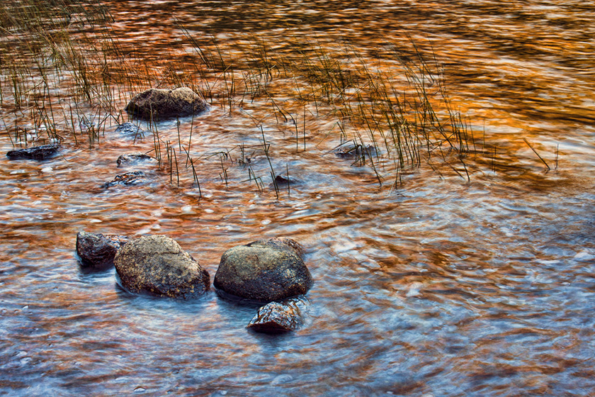 25-c-sandrawescott-a-goldenreflections