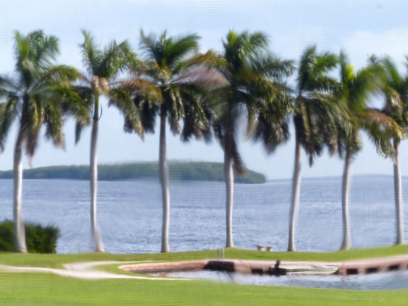 31-bobveit-a-florida-palms