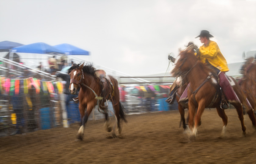 39-kim-stone-a--runaway-bronc