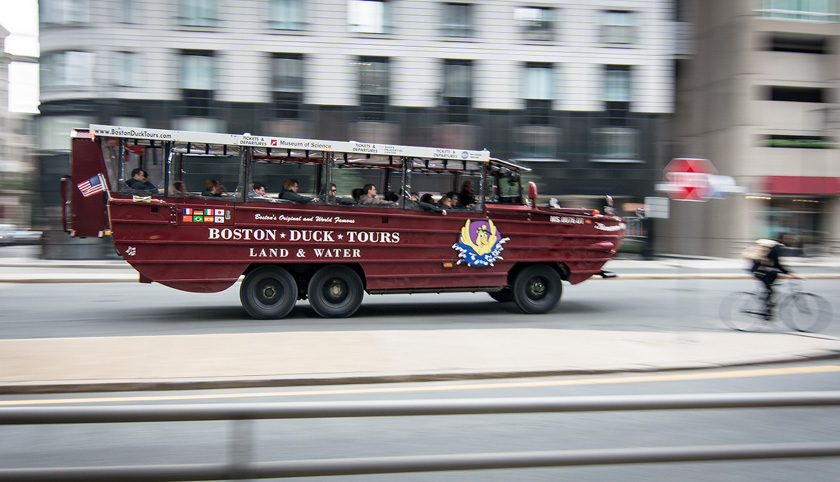 64-rickplummer-b-ducks-dont-stop-for-stop-signs
