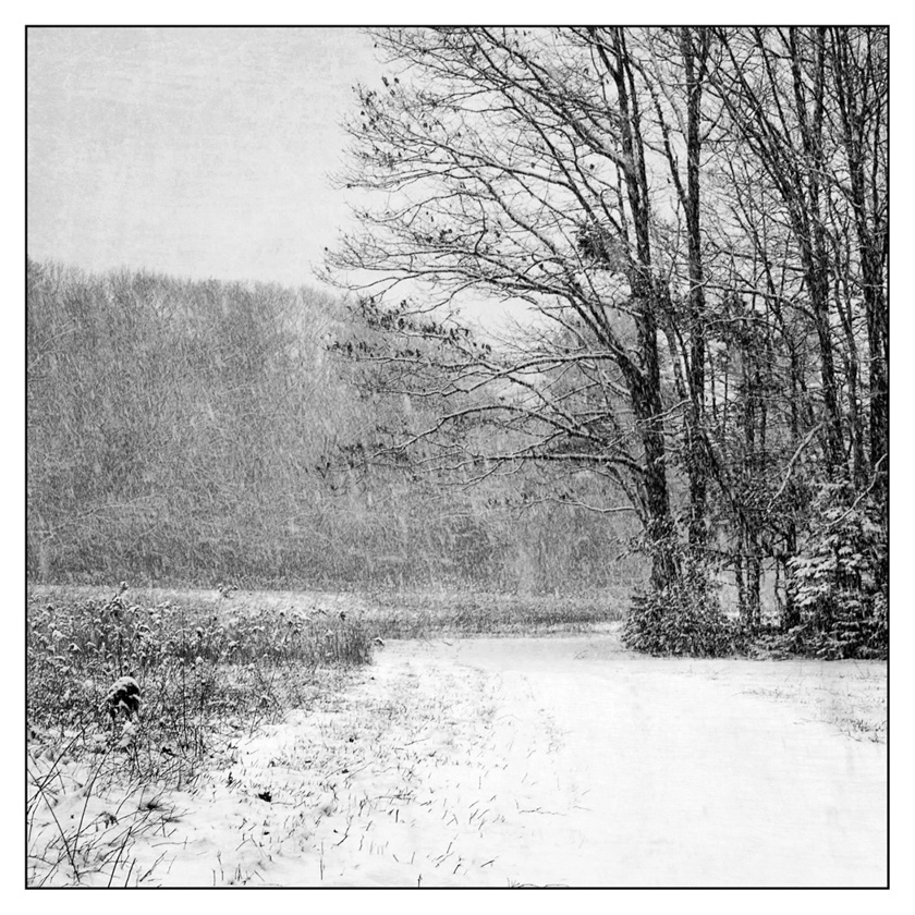 09susandowning-b-open-trail.
