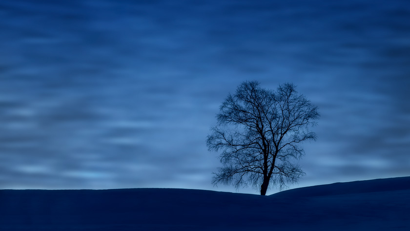 06-caroline-samson-a-blue-hour-dream