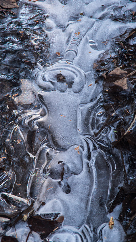17-с-olga-merrill-b-winter's-pattern