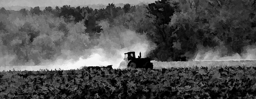 73-karen-asherman-b-tilling-after-the-harvest