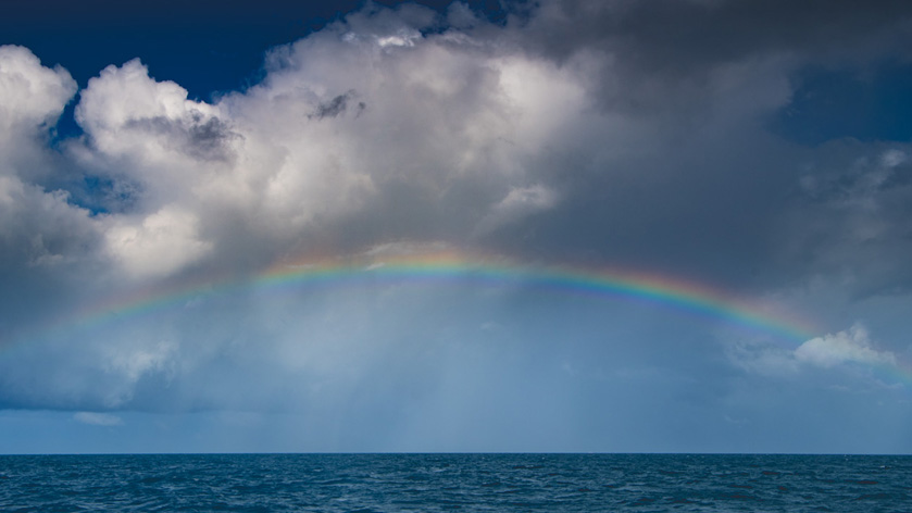 14-clint-merrill-b-after-rain