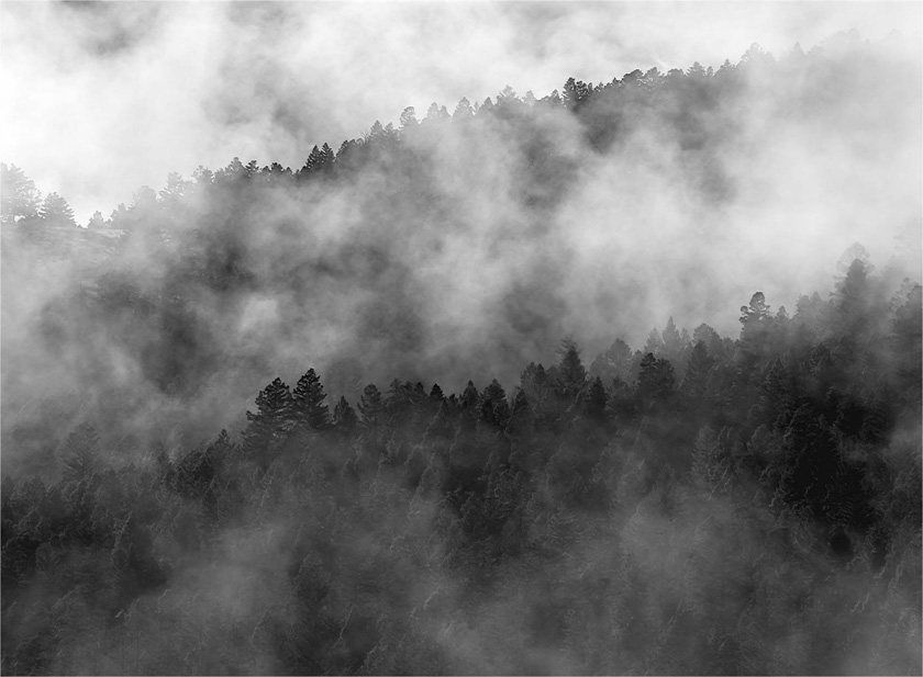 30-lindacullivan_a__mist_in_the_trees