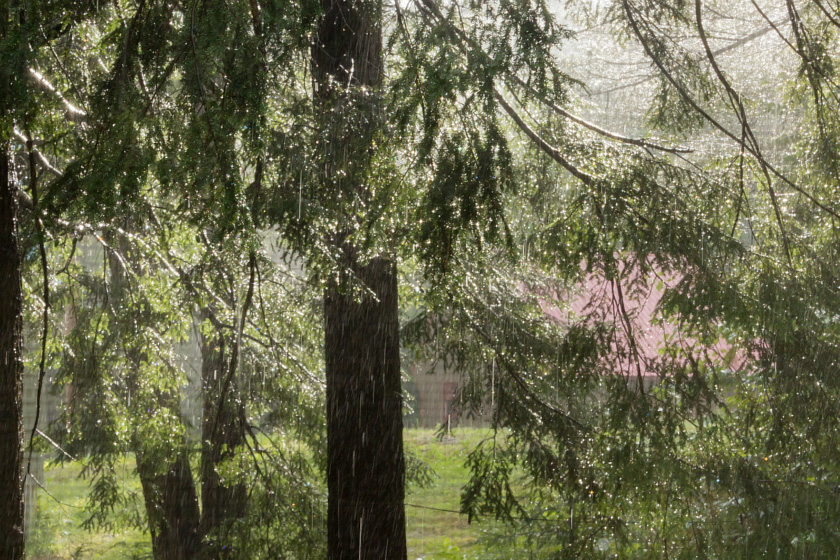 31-joe-thrift-b-camp-in-the-rain