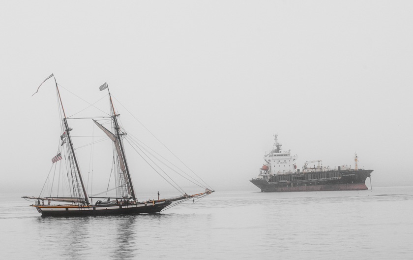 41-michaelcolton-a-fog