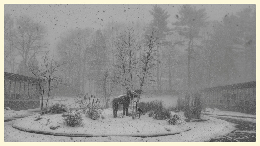 103-merita-mckenzie-a-snowy-garden