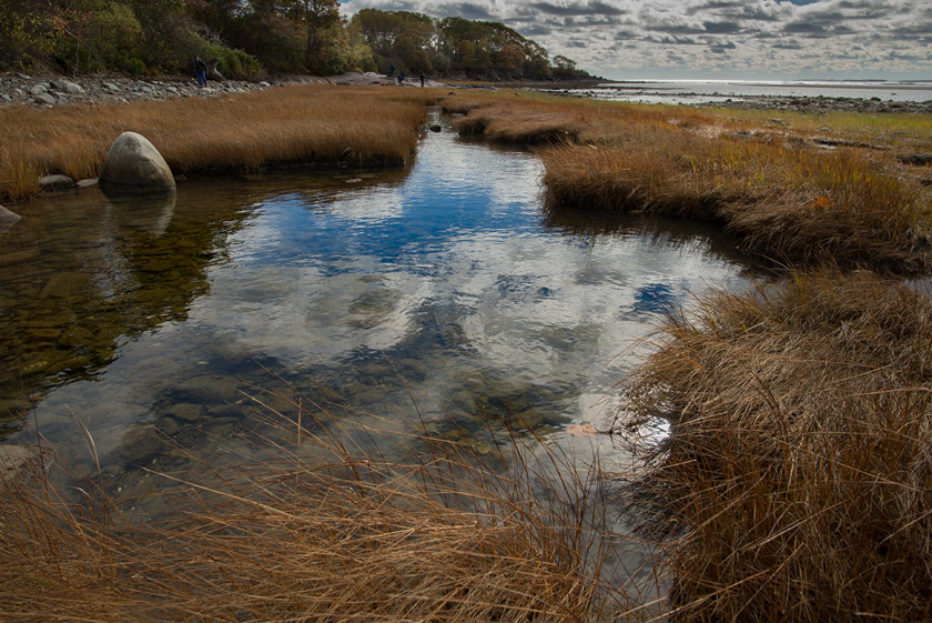 07-Steve-thomas-A-marsh-reflection