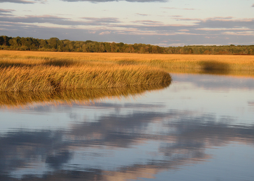 14-Merita-McKenzie-A-Marshland