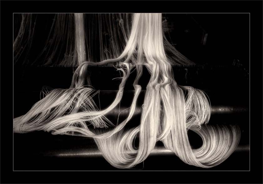 18-RobSmith_A_Tresses