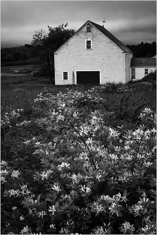 19-C_SandraWescott_A_Spring
