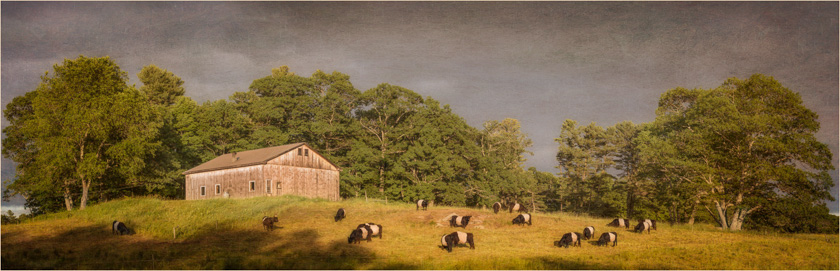 40-Cempa-A-A_Field_in_Maine